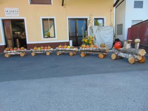 Utrinki z dneva odprtih vrat oljarne 7